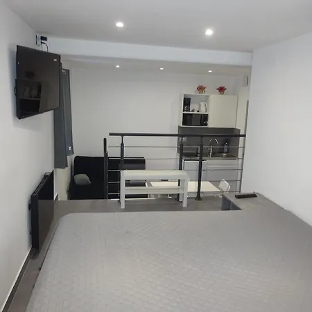 A 2 Mins Du Palais De La Musiques Et Des Congres Apartman